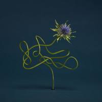 Julien Belliard - Le mirage de zo (2020) FLAC