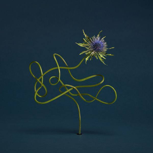 Julien Belliard - Le mirage de zo (2020) FLAC