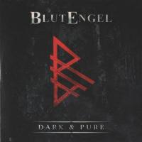 BlutEngel - Dark & Pure 2013 FLAC
