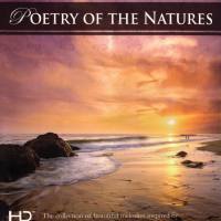Blue Seas Grand Orchestra - Poetry of The Natures (2013)