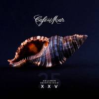 VA - Cafe Del Mar XXV Vol.25 (2019) FLAC