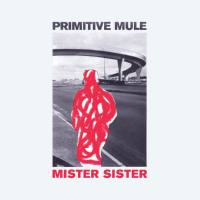 Primitive Mule - Mister Sister 2021 FLAC