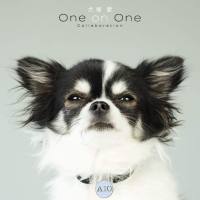Ai Otsuka 大塚愛 - 犬塚愛 One on One Collaboration (2021) Hi-Res