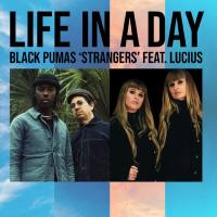 Black Pumas, Lucius - Strangers - From ''Life In A Day''.flac