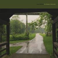 Cloud Nothings - Nothing Without You.flac