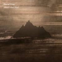 David Gray - Heart and Soul.flac