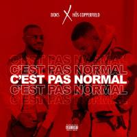 Doks, Hoes Copperfield - C'est pas normal.flac