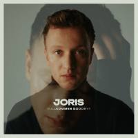 Joris - Willkommen Goodbye.flac