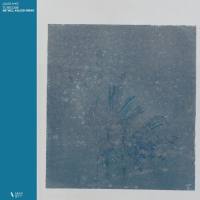 Jules Ahoi - to become (We Will Kaleid Remix).flac