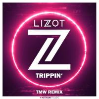 LIZOT - Trippin' (TMW Remix).flac