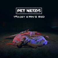 PET NEEDS - Tracey Emin's Bed.flac