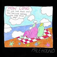Palehound - How Long.flac