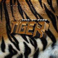 Rapsta - Tiger.flac