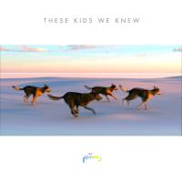 Rostam - These Kids We Knew.flac