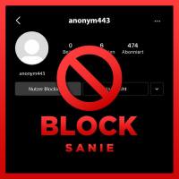 Sanie - Block.flac