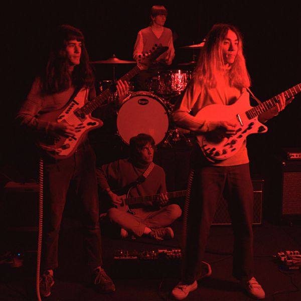 The Lazy Eyes - Where's My Brain.flac