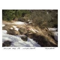 Zella Day, Weyes Blood - Holocene.flac