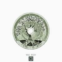 Viill - Decay 2019 FLAC