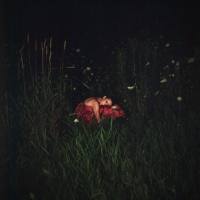 Forever - Close to the Flame 2020 FLAC