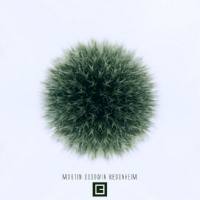 Martin Goodwin - Redonheim 2018 FLAC