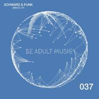 Schwarz & Funk - Absolute 2017 FLAC
