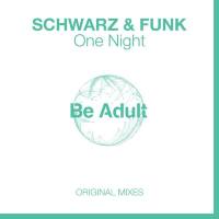 Schwarz & Funk - One Night 2018 FLAC