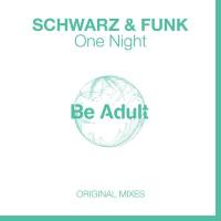 Schwarz & Funk - One Night 2018 FLAC