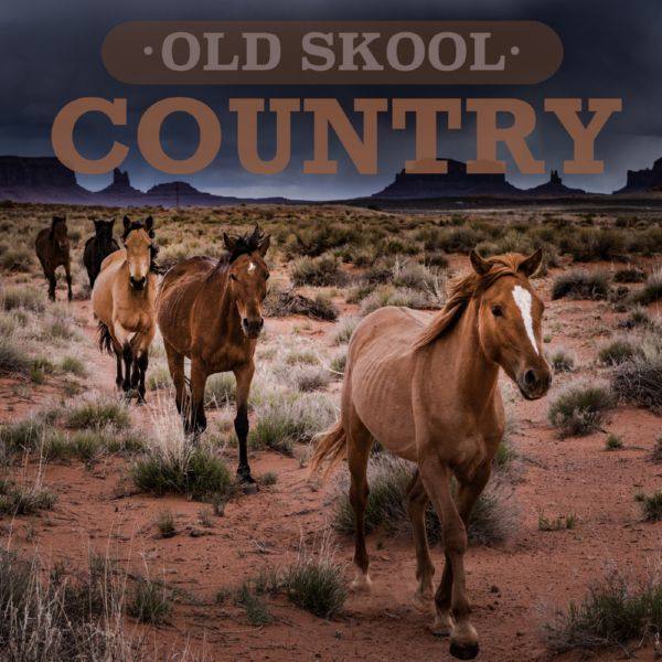VA - Old Skool Country