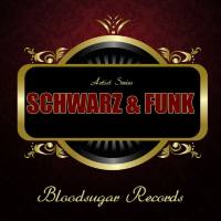 Schwarz & Funk - Artist Series - Works Schwarz & Funk 2012 FLAC