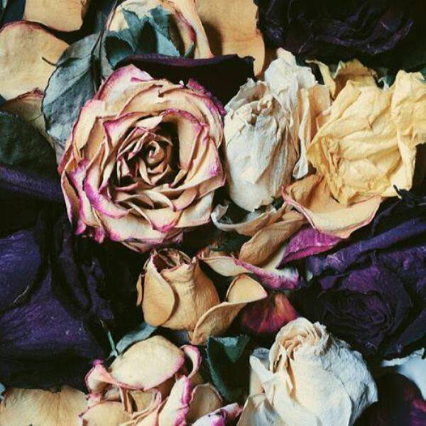 Зимавсегда - 2020 - Зимавсегда FLAC