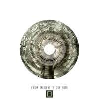 VA - From Ambient To Dub 2019 2019 FLAC