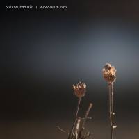 subtractiveLAD - Skin and Bones 2020 FLAC