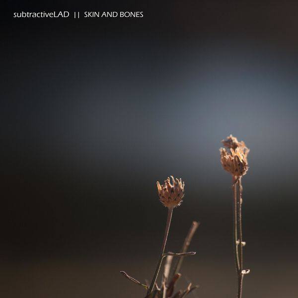 subtractiveLAD - Skin and Bones 2020 FLAC