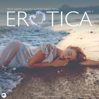VA - Erotica Vol. 5 [Most Erotic Smooth Jazz & Chillout Tunes] (2020) FLAC