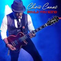 Chris Canas - Would You Mind (2020) [FLAC]