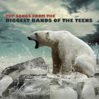 VA - Top Songs from the Biggest Bands of the Teen's