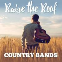 Raise the Roof_ Country Bands (2020) FLAC