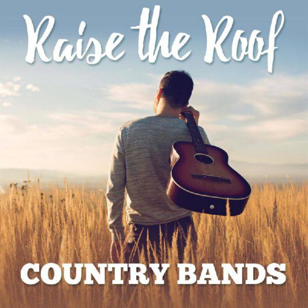 Raise the Roof_ Country Bands (2020) FLAC