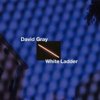 David Gray - White Ladder (20th Anniversary Edition) 2020 FLAC