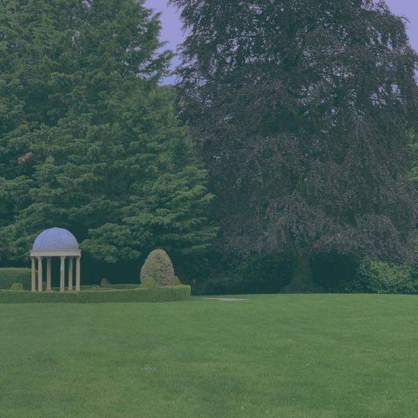 Aurora - For The Humans Who Take Long Walks In The Forest EP (2021) FLAC