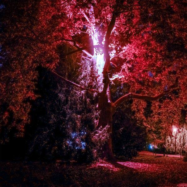 Frieder Nagel - The Arrival (2021) [Hi-Res stereo]