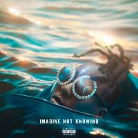 INK - Imagine Not Knowing (2021) FLAC