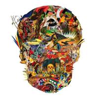 Cristian Vogel - Rebirth of Wonky (2021) FLAC