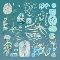 Special Species Records - SSR020 Haunted Ghost - New Life Paeans 2020 Hi-Res