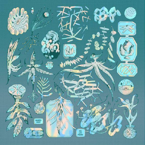 Special Species Records - SSR020 Haunted Ghost - New Life Paeans 2020 Hi-Res