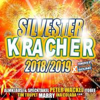 VA - Silvester Kracher 2018 FLAC