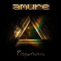 Amure - Experience 2013 FLAC