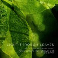 Peter Jensen - Light Through Leaves (2021) [Hi-Res stereo]
