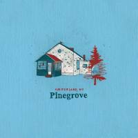 Pinegrove - Amperland, NY (2021) [Hi-Res stereo]