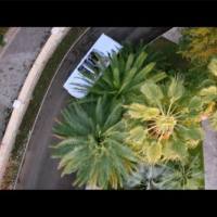 MC Doni и Натали- Ты такой.mp4